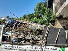 Trusted Carlisle, OH Junk Removal Services Experts